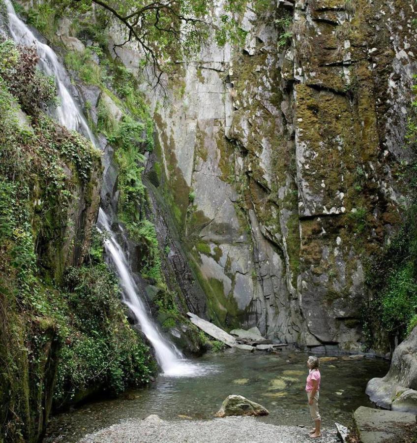 A Pequena Casa Coja Central Portugal Mountains Exterior foto